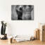 Éléphant par Lori Deiter - Photographie sur toile tendue-748650957