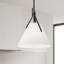 Luminaire suspendu à 1 lumière Shuyer-879543616-921412674