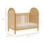 Bondi Cane 3-in-1 Convertible Crib with Toddler Bed Conversion Kit-379489429