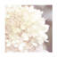 «Hydrangea Dream I» par Laura Marshall, impression sur toile tendue-2131457297