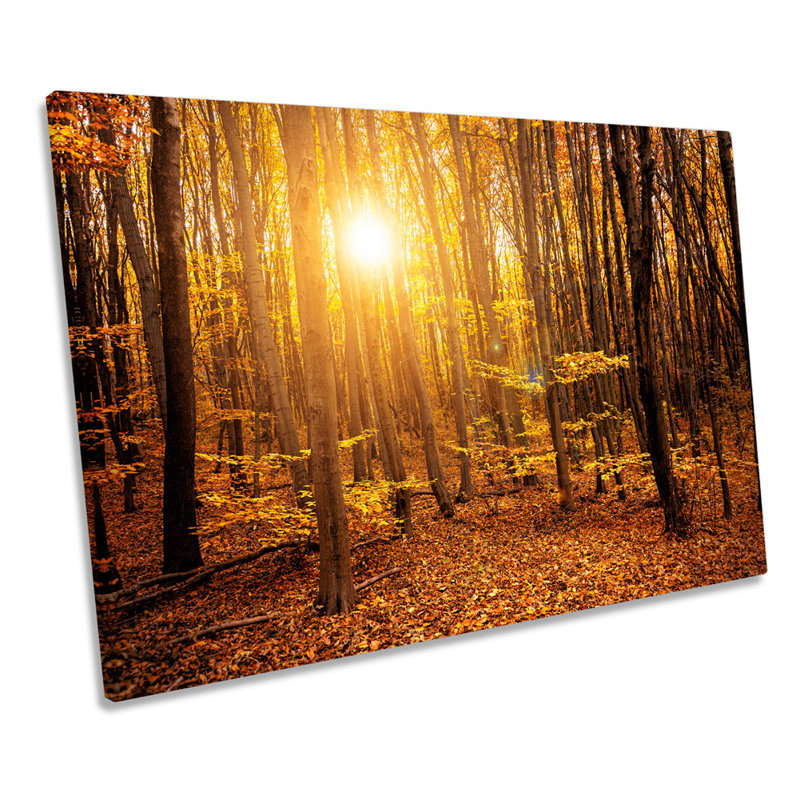 Orange Forest Sunset Trees - Wrapped Canvas Print, 91.4cm H x 137.2cm W x 4cm D