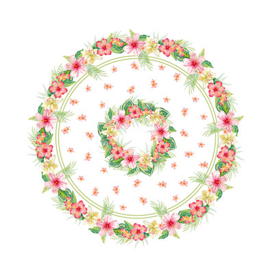 Nappe Tropical Island