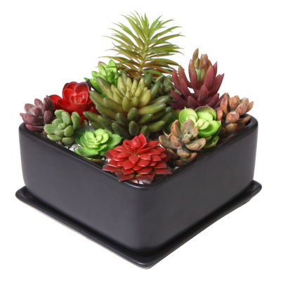 Ceramic Pot Planter