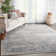 Beckner Oriental Area Rug