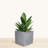 Wandie Green Polyethylene Pot Planter-1628738415-1628738413
