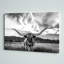 «Black and White Longhorn Cow I», photographie sur toile tendue-1961283216-1925434037-1889176534