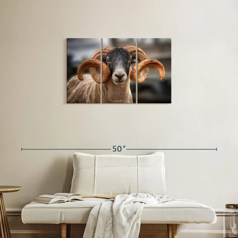 Brampt Scottish Blackface Ram, 20" H x 33" W