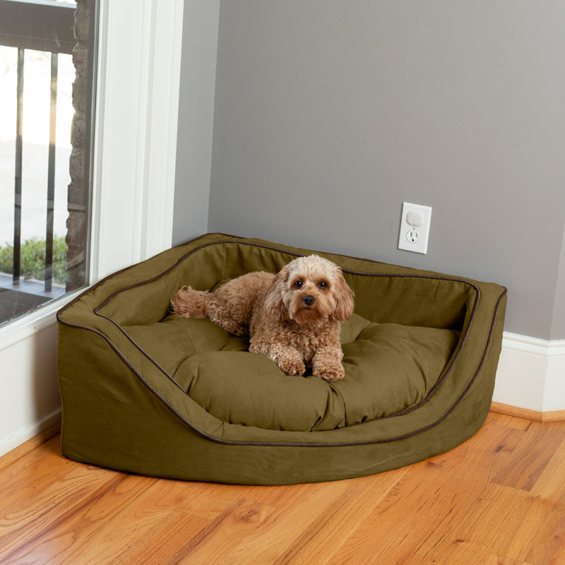 Lit pour chien Snoozer, Grand (l 29 po x P 29 po x H 12 po), Olive / Café