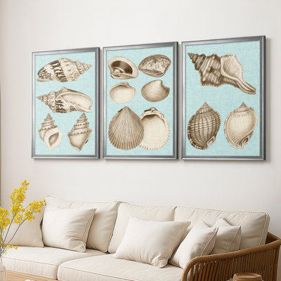 Sepia & Aqua Shells IV  -Custom Framed  Wrapped Gallery Canvas - 3 Pieces