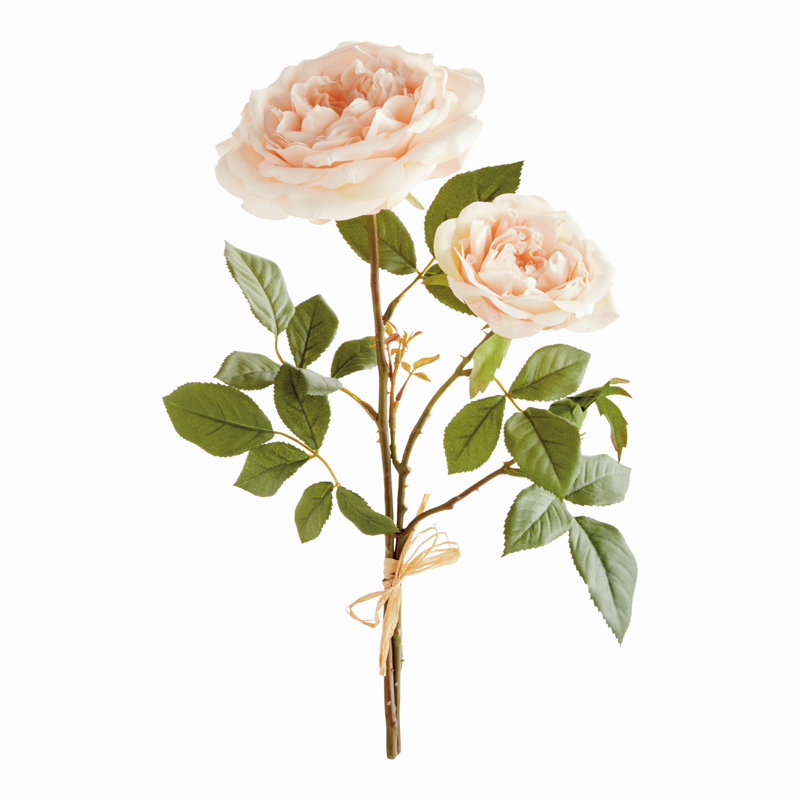 ENGLISH ROSE, Pink