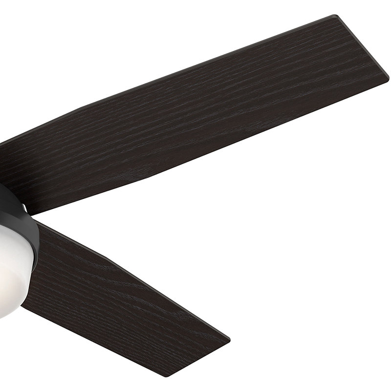 52" Dempsey 4 - Blade Standard Ceiling Fan with Remote Control and Light Kit Included, Matte Black