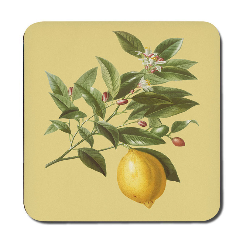 Lemon Branch Placemat Coaster Set With Wood Bottom High End Print Artwork Limited Edition