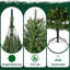 Arbre de Noël artificiel pointu de luxe 4,5 pi avec 300 lumières UL claires, charnières en métal et base pliable facile à assembler, pour la maison, le bureau et les fêtes