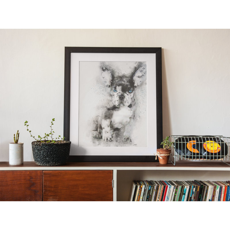 Grey French Bulldog - Single Picture Frame Print