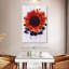 Tournesol rouge-1808060174