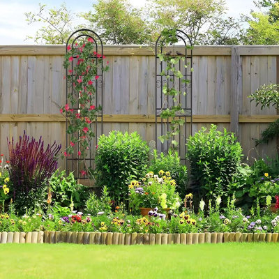 180cm H x 50cm W Metal Arched Trellis