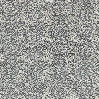 Modern Luxury Modern Lace Fabric