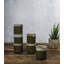 Porcelain China Shot Glass Set