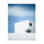 Palmier sur toile-1149519925