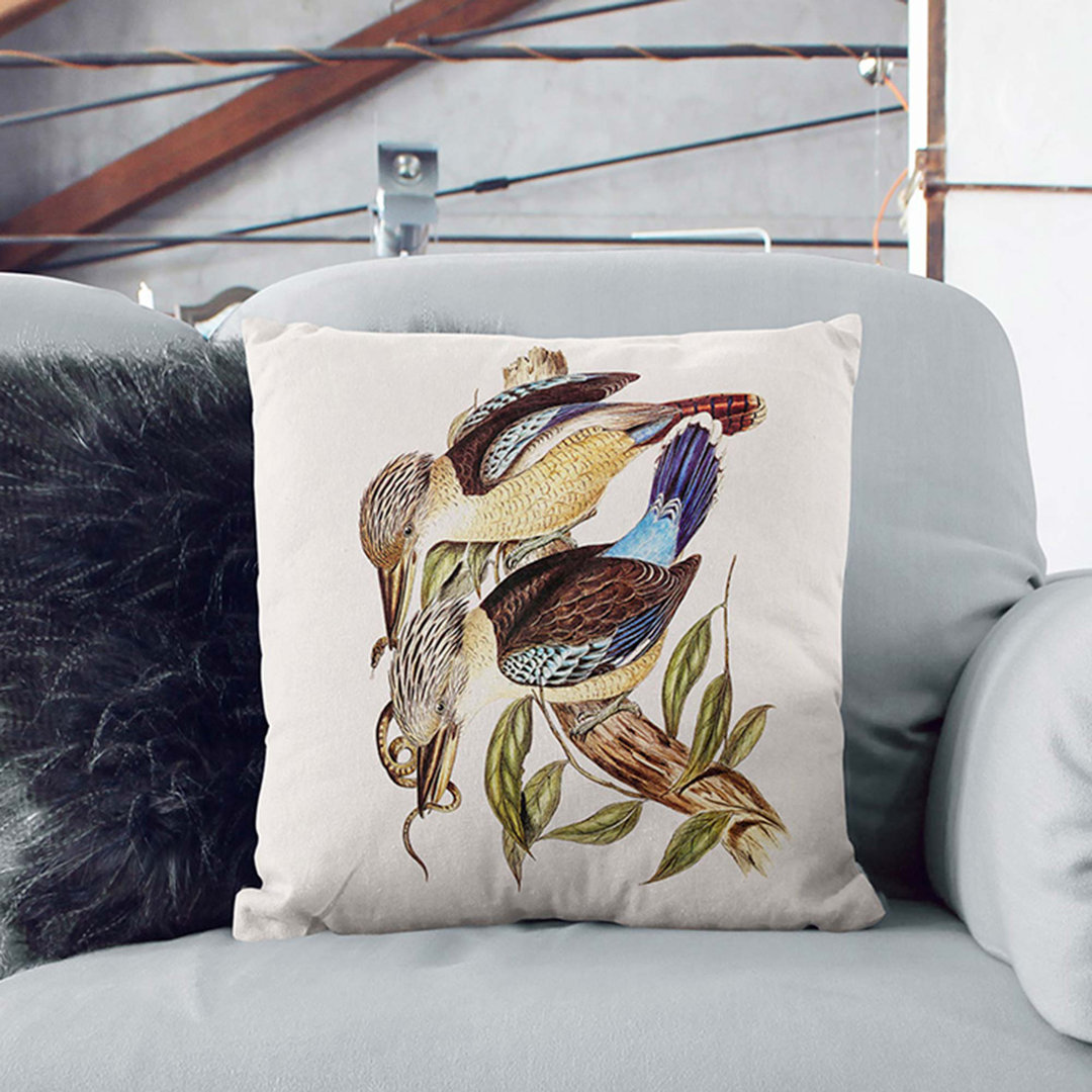 Fawn-Breasted Kingfishers by Elizabeth Gould Cushion with Filling