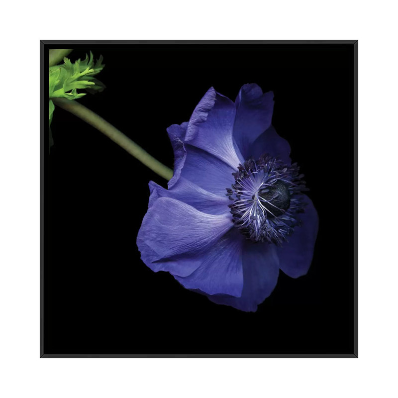 Moody, reproduction de photo sur toile tendue, H 18 po x l 18 po x P 1,5 po, Toile avec cadre noir, Pas de tapis