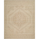 Exquisite Area Rug in Beige