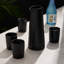 Harrison 5-Piece Stoneware Sake Set in Black