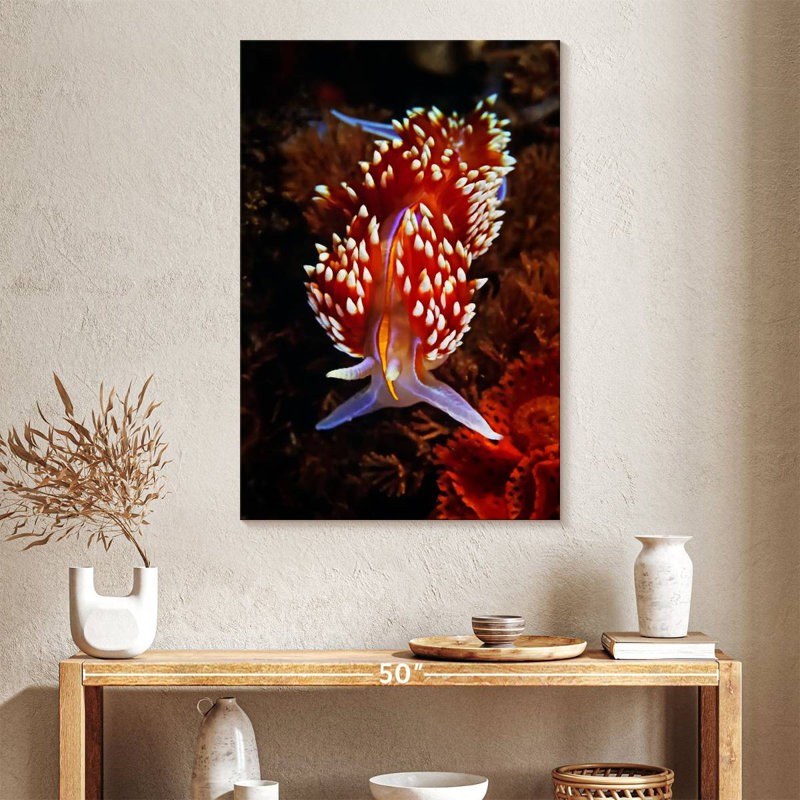 Nudibranche exotique Brampt, H 12 po x l 8 po