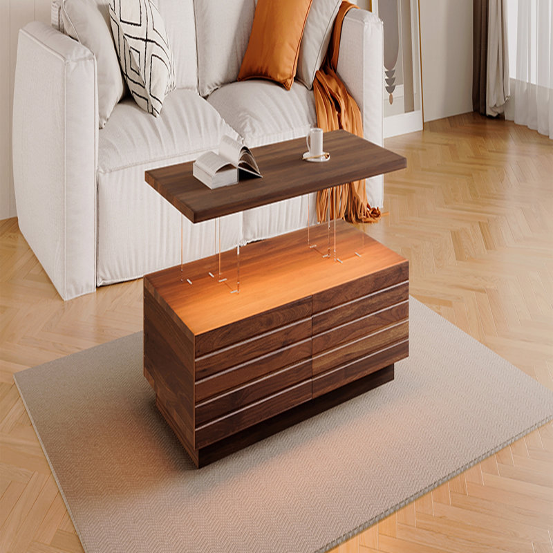 Table basse avec 2 tiroirs Modern, Brun