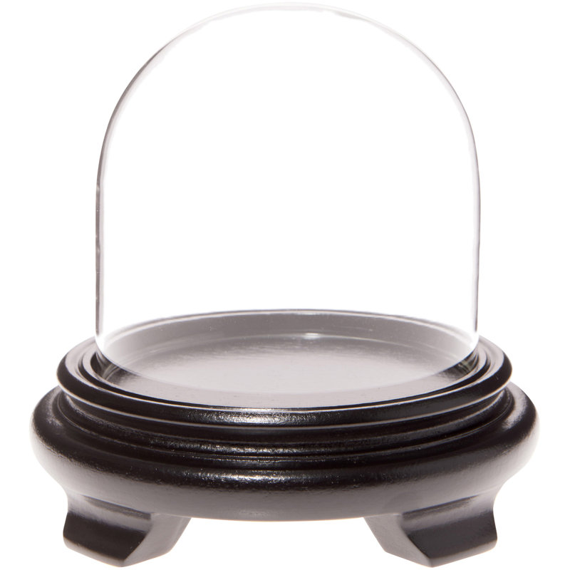 Keiarriyen 4" x 4" Glass Display Dome Cloche, Black Wood Veneer Base
