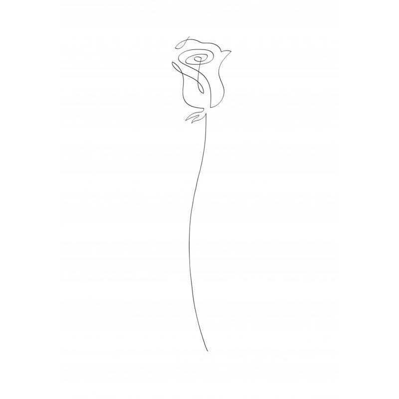Wrapped Canvas Print, 76.2 cm H x 50.8 cm W