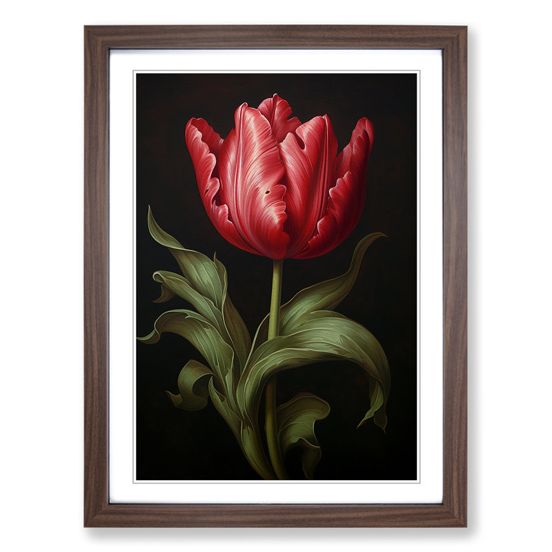 XYZ-FRM-V1223-1645 Tulip Flower Baroque - Single Picture Frame Print on Wood, Walnut , 34cm H x 25cm W x 2cm D