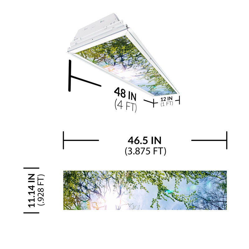 Tree Rectangle Fixture Component Ceiling Light