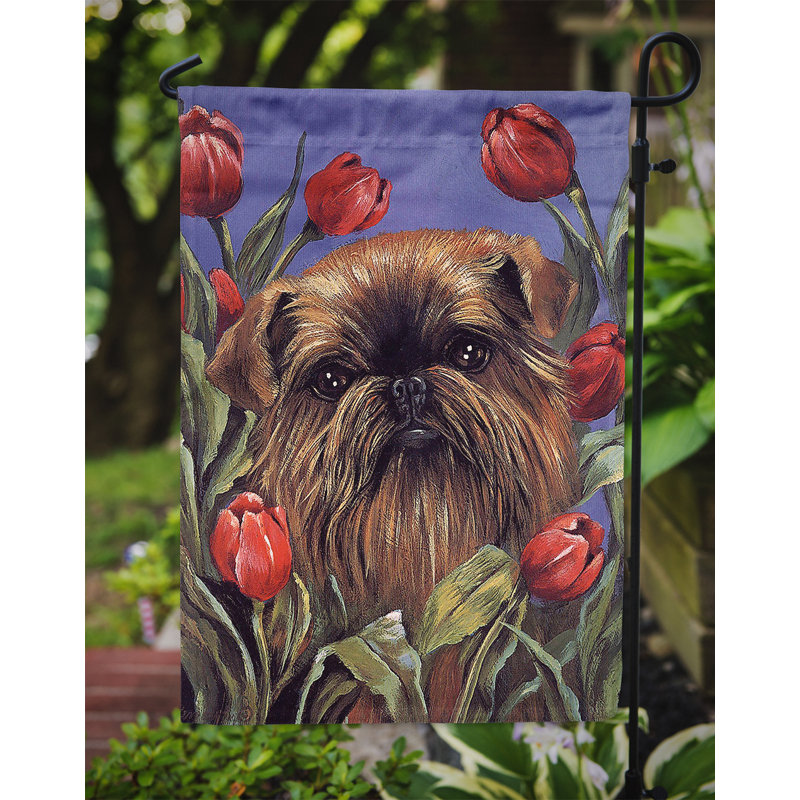 Drapeau de jardin en polyester à 2 côtés Graziello Bichon Frise Do It Better 1 x 0,11 pi, Griffon bruxellois « Peek A Boo »