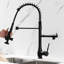 Robinet de cuisine avec douchette rétractable, robinet d'évier de cuisine à haute pression à poignée simple, robinets de cuisine commerciaux en acier inoxydable à deux têtes, nickel brossé-80365720