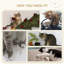 54cm H Cat Tree