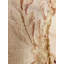 Oriental Area Rug in Beige