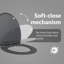 Anthracite Plastic Standard Adjustable Armrests Toilet Seat-1215608310