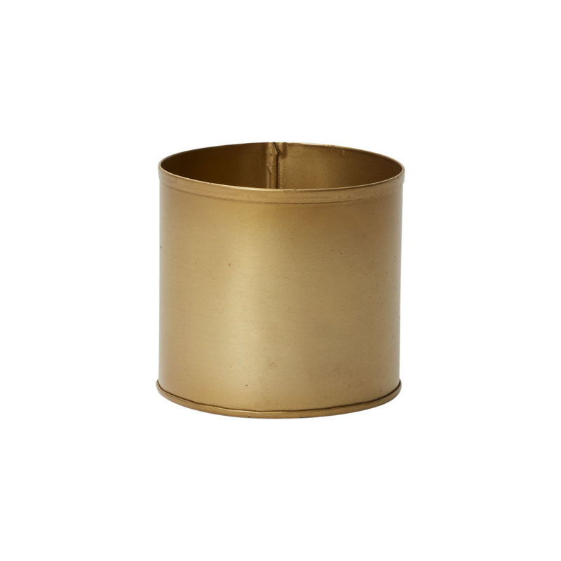 Pot à fleurs en métal Schaaki Bryant, H 4 po x l 4,25 po x P 4,25 po