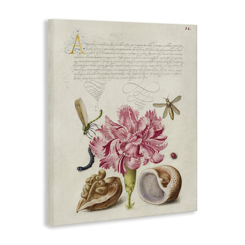 Art mural antique sur toile et escargots par June Erica Vess, H 30 po x l 24 po