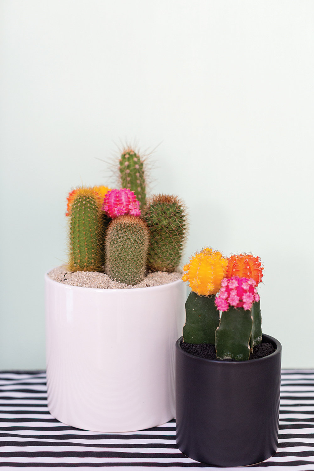 Handmade Ceramic Pot Planter, 4.25" H x 4.25" W x 4.25" D, Matte Black