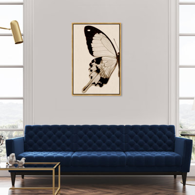 " Animals Sepia Butterfly I Insects "