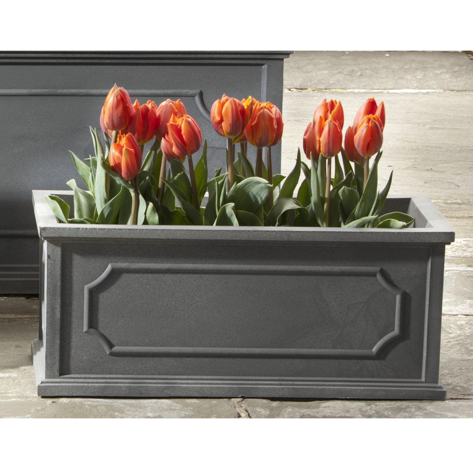 Ericson Planter Box, 14" H x 31" W x 12.25" D, Lead