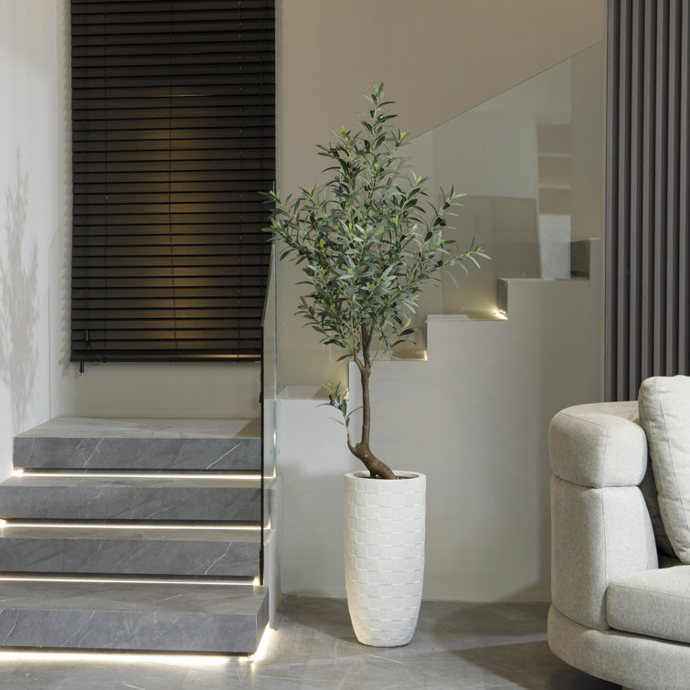 64.6'' Artificial Olive Tree In A Shell Designed Fiberstone Planter