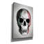 «Mexico Skull» par Nicklas Gustafsson, art mural sur toile-1431808089-1431798842