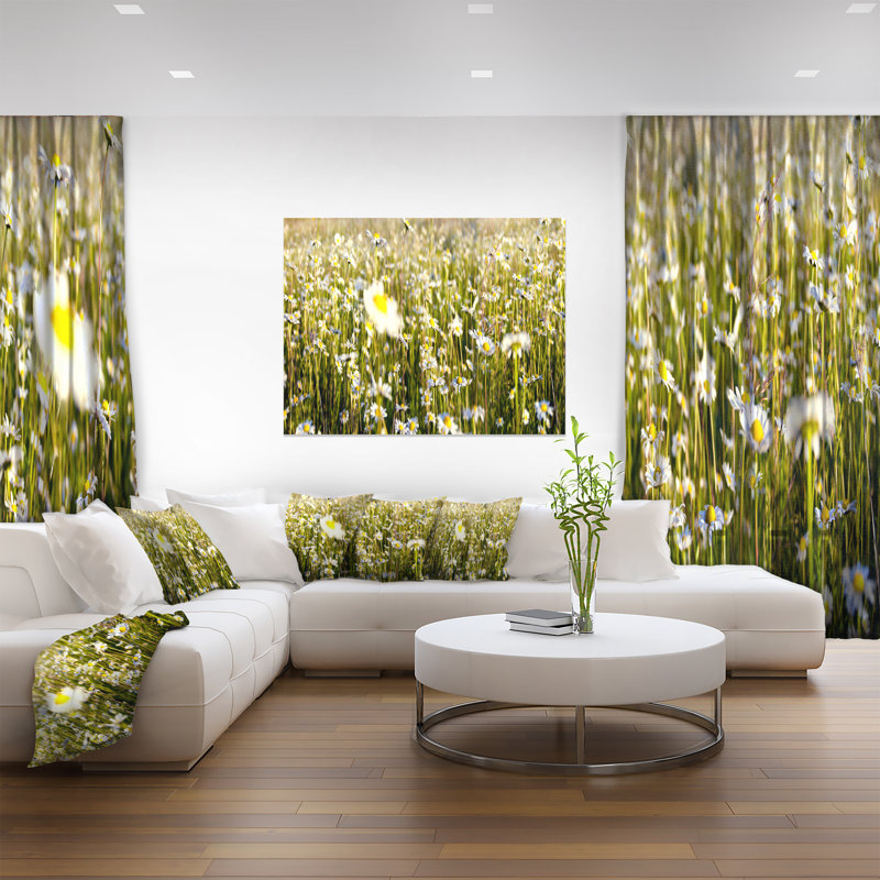 «Wild Chamomile Flowers Field», reproduction de photo sur toile tendue encadrée, H 8 po x l 12 po x P 1 po, Toile tendue