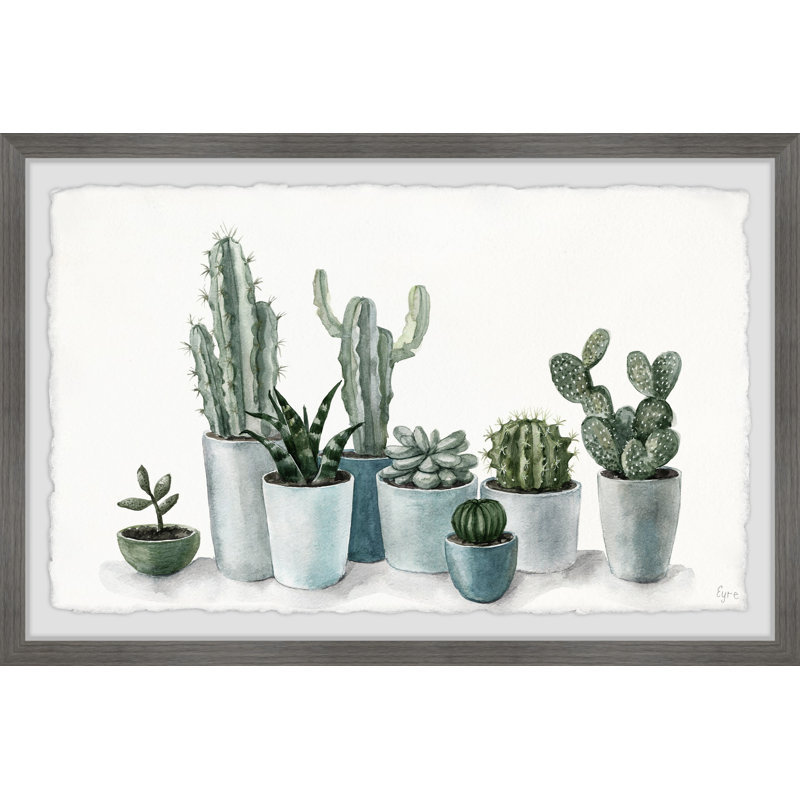 «Growing Cactus And Succulents», reproduction encadrée, H 24 po x l 36 po x P 1,5 po