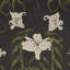 Schumacher X Backdrop Lady Lilith Wallpaper-1855982344