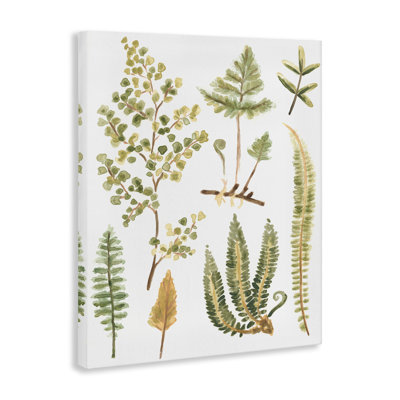 Art mural sur toile, "Wild Forest Ferns" par June Erica Vess
