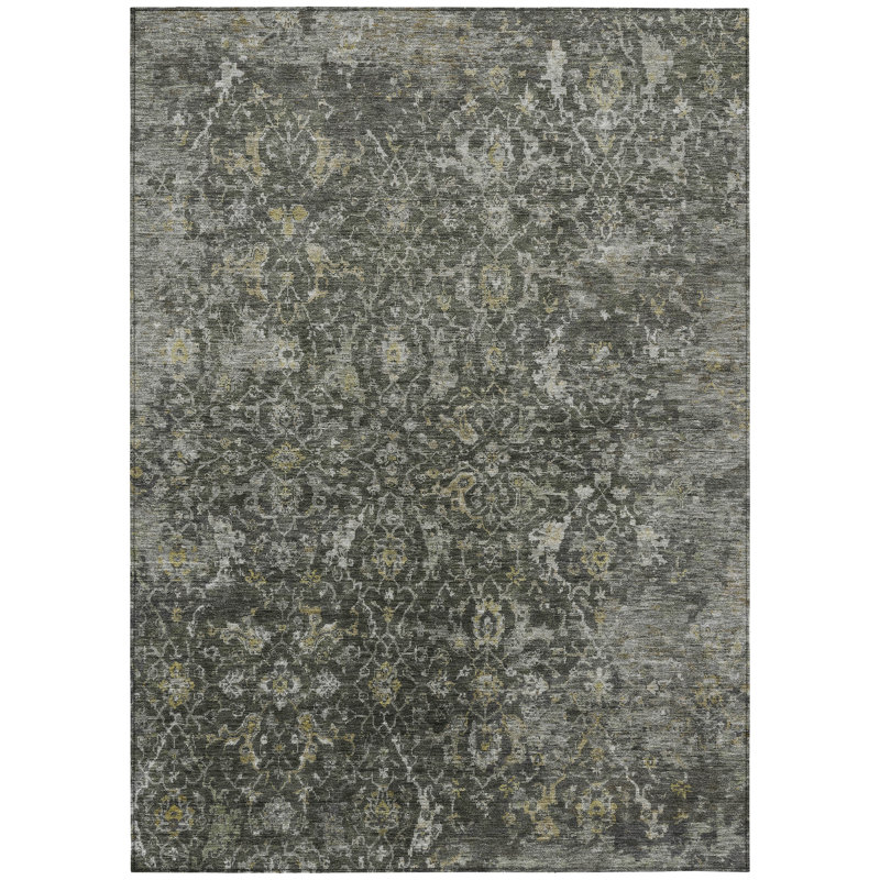 Machine Washable Indoor/Outdoor Chantille ACN2359 Traditional Rug, Rectangle 3' x 5'
